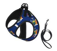 Harnais pour chien imprimé drapeau de l'État de New York, 2 boucles, gilet pour chien, clip avant anti-traction pour laisse pour chiens de petite et moyenne taille