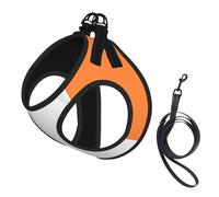 Harnais pour chien imprimé drapeau irlandais petite taille et laisse - Doux et léger - Maille respirante