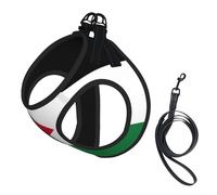 Harnais pour chien imprimé drapeau jordanien, 2 boucles, gilet pour chien, clip de laisse avant anti-traction, pour chiens de petite et moyenne taille