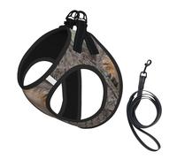 Harnais pour chien imprimé écureuil dans l'arbre avec 2 boucles, gilet pour chien, clip avant anti-tirage, pour chiens de petite et moyenne taille