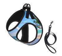 Harnais pour chien imprimé fleurs tropicales et pierres zen, 2 boucles, gilet pour chien, clip avant anti-traction pour laisse pour chiens de petite et moyenne taille