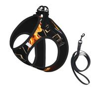 Harnais pour chien imprimé guitare électrique, 2 boucles, gilet pour chien, clip de laisse avant anti-traction, pour chiens de petite et moyenne taille