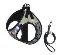 Harnais pour chien imprimé hyène, 2 boucles, gilet pour chien, clip avant anti-traction pour laisse pour chiens de petite et moyenne taille