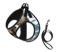 Harnais pour chien imprimé loutre, 2 boucles, gilet pour chien, clip avant anti-traction pour laisse pour chiens de petite et moyenne taille