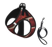 Harnais pour chien imprimé pierre rouge brique, gilet laisse pour chiens de petite et moyenne taille, parfait pour les aventures en plein air