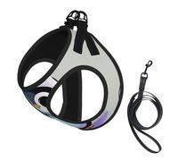 Harnais pour chien imprimé pingouin mignon, 2 boucles, gilet pour chien, clip avant anti-traction pour laisse, pour chiens de petite et moyenne taille