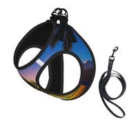 Harnais pour chien imprimé plage hawaïen, 2 boucles, gilet pour chien, clip avant anti-traction pour laisse pour chiens de petite et moyenne taille