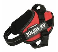 Julius K-9 Idc Mini Dog Harness Rouge Mini