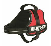 Harnais pour Chien Julius K9 Power Rouge S