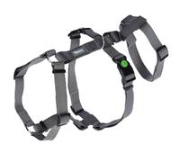 Kerbl Harnais anti-panique chien – Gris, tour de cou 30–41 cm, sangle 15 mm, pour chiens anxieux