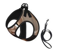 Harnais pour chien labrador mignon avec laisse et gilet rembourré épais pour chiens de très petite et moyenne taille