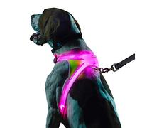Harnais pour chien LED rechargeable par USB avec fibre optique multicolore, équipement de sécurité réfléchissant éclairé pour promenade nocturne, réglable, léger et résistant à la pluie