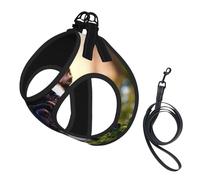 Harnais pour chien mignon avec imprimé carlin noir, 2 boucles, gilet pour chiens, clip avant anti-traction pour laisse pour chiens de petite et moyenne taille