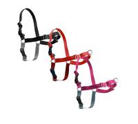 Harnais pour chien modèle Easy Walk Petsafe