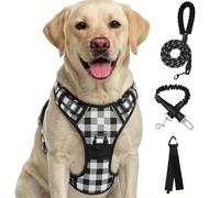 Harnais pour Chien, ne Tire Pas, Tissu Oxford réfléchissant, poignée rembourrée, 4 Sangles réglables, 2 Clips pour la Laisse, ne s'étrangle Pas, Harnais de Gilet