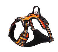Harnais Pour Chien No Pull Nylon Souple Réfléchissant Réglable Pour Petit Grand Animal Domestique TLH56512(M, Orange)