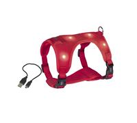 Harnais pour chien Nobby Pet Flash Mesh Rouge S (35/45 cm)