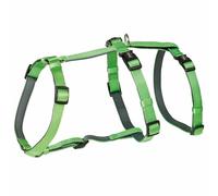 Nobby Harnais de sécurité Turva Vert Clair Tour de Cou : 24-34 cm, poitrail : 30-40 cm, 10 mm