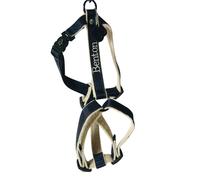 Harnais pour chien nylon Martin Sellier Benton Bleu M (20/45-65 cm)