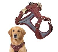 Harnais pour Chien Peluvio Lord en Cuir Véritable, Taille L, avec Renforts, pour Grands Chiens. Confort et Liberté de Mouvement, avec Un Maintien Stable. Disponible des Tailles XS à XL
