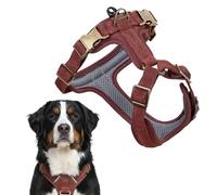 Harnais pour Chien Peluvio Lord en Cuir Véritable, Taille XL, avec Renforts, pour Très Grands Chiens. Confort et Liberté de Mouvement, avec Un Maintien Stable. Disponible des Tailles XS à XL