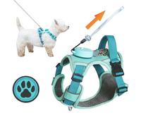 Harnais pour chien pour petits chiens jusqu'à 16 lbs, harnais léger sans traction 3 en 1 avec sangle rétractable, kit de laisse portable, clip avant, poignée, gilet réfléchissant pour chien avec patch