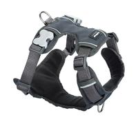 Harnais pour Chien Red Dingo Rembourré Gris Taille XS
