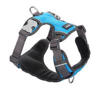 Harnais pour Chien Red Dingo Rembourré Turquoise Taille XS