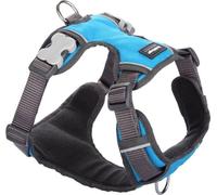 Harnais pour chien Red Dingo rembourré Turquoise XS