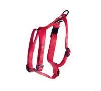Harnais Nylon Réglable 40-90/110 Rouge - Martin Sellier