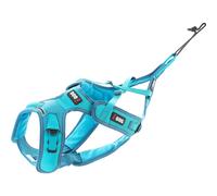 Harnais Sport X-Back Phoenix ALM pour Courir avec Son Chien et activité Sportive ou Loisirs, réglables Multiples CANI Cross, CANI Jogging, CANI Trail, CANI Rando, I-DOG Marque Française. (M)