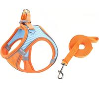 Harnais pour chien réglable, réfléchissant et respirant avec laisse de 150 cm pour chiens et chats de petite et moyenne taille (taille M, orange&bleu)