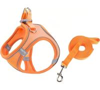 Harnais pour chien réglable, réfléchissant et respirant avec laisse de 150 cm pour chiens et chats de petite et moyenne taille (taille L, orange)
