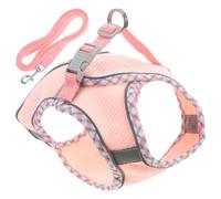 Harnais pour Chien Réglable Rose en Polyester, Laisse de 150 Cm | Chiot et Chien, Léger et Portable, Tailles 30 à 48cm, Usage Extérieur