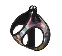 Harnais pour chien romantique avec imprimé conte de fées Castle04 - Réglable - Pour promener votre chiot - Avec clips pour laisse - Harnais d'entraînement pour animal domestique