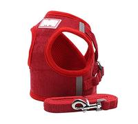 Harnais pour Chien, sans Traction, réglable, Collier pour Chiot et Chat, Accessoires personnalisés pour Carlin, Gilet