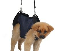 Harnais pour chien - Senior Dog Lift, Kits pour chiens | Harnais de support pour animaux de compagnie réglable, EXSILIE ASSOLATION DES CHIENS ÉCOUTE DE CHIEN POUR SENIORS, AIDE DE SOLEIL DE CANN