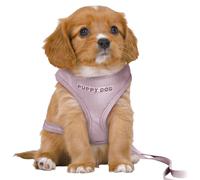 Harnais pour chien souple avec laisse Trixie Violet M/L