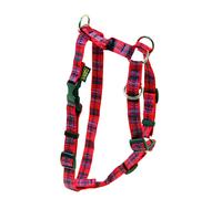 Harnais pour chien standard Arka Haok Rouge 14/36-56 cm
