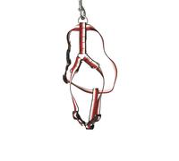 Harnais pour chien standard Arka Haok Rouge 15/36-56 cm