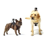Harnais pour chien support de poitrine pour Gopro hero 8 7 6 5 4 3 + Go pro caméscope chien sangle de poitrine ceinture SJCAM SJ4000 Xiaoyi 4K caméra