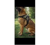 Harnais pour Chien Taille L (Buste 62-77cm) Respirant et Réfléchissant - Réglable, Anti-Traction, Anti-Étranglement avec Poignée