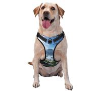 Harnais pour chien The Forgotten Kingdom, équipé de sangles réfléchissantes pour animaux de compagnie et de boucles à dégagement rapide, adapté à tous les types de chiens