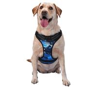 Harnais pour chien The Killer Whale in The Sea - Équipé de bandes réfléchissantes pour animaux de compagnie et de boucles à libération rapide - Convient à tous les types de chiens