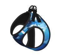 Harnais pour chien The Killer Whale in The Sea - Équipé de sangles réfléchissantes et de boucles à dégagement rapide - Convient pour les petits chats et chiens