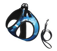 Harnais pour chien The Killer Whale in The Sea - Équipé de sangles réfléchissantes et de boucles à dégagement rapide - Convient pour les petits chats et chiens