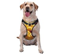 Harnais pour chien The Taste of Citron - Équipé de bandes réfléchissantes avec laisse pour animaux de compagnie et de boucles à libération rapide - Convient à tous les types de chiens