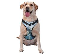 Harnais pour chien White Traditional Buildings - Équipé de bandes réfléchissantes pour animaux de compagnie et de boucles à dégagement rapide - Convient à tous les types de chiens