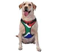 Harnais pour chiens de petite, moyenne et grande taille - Drapeau de l'Afrique du Sud - Sangles réfléchissantes réglables avec boucles à dégagement rapide