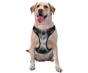 Harnais pour chiens de petite, moyenne et grande taille, réfléchissant et réglable avec boucles à dégagement rapide La confusion des pandas géants